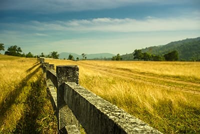 A Guy Bought a Field